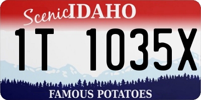 ID license plate 1T1035X