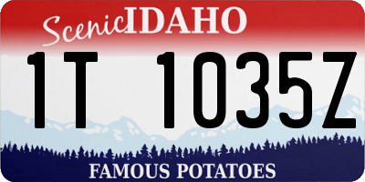ID license plate 1T1035Z