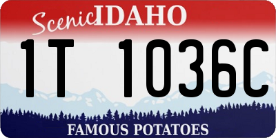 ID license plate 1T1036C