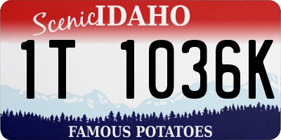 ID license plate 1T1036K