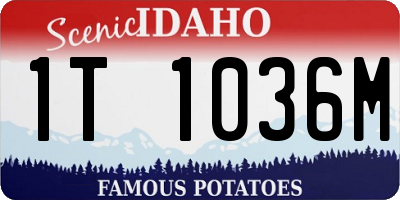 ID license plate 1T1036M