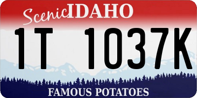 ID license plate 1T1037K