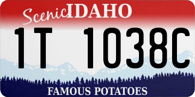 ID license plate 1T1038C