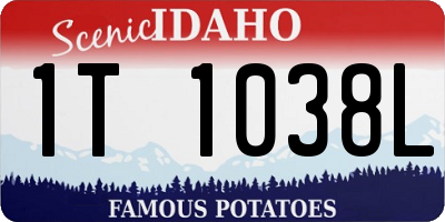 ID license plate 1T1038L