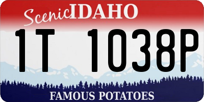 ID license plate 1T1038P
