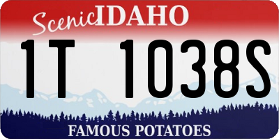 ID license plate 1T1038S