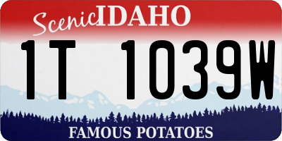 ID license plate 1T1039W