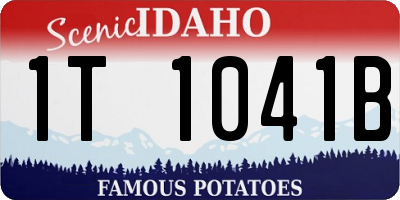 ID license plate 1T1041B