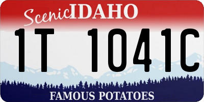 ID license plate 1T1041C