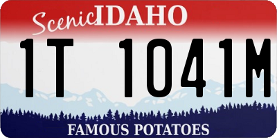 ID license plate 1T1041M