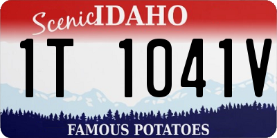 ID license plate 1T1041V