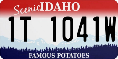 ID license plate 1T1041W