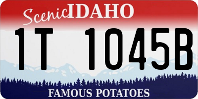 ID license plate 1T1045B