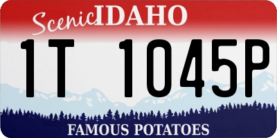 ID license plate 1T1045P