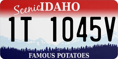 ID license plate 1T1045V