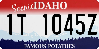 ID license plate 1T1045Z