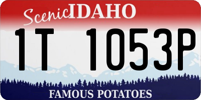ID license plate 1T1053P