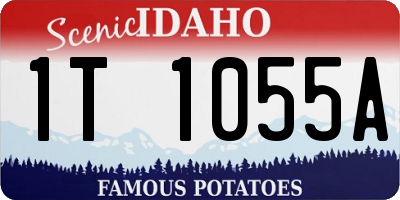 ID license plate 1T1055A