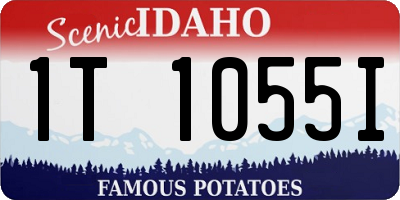 ID license plate 1T1055I