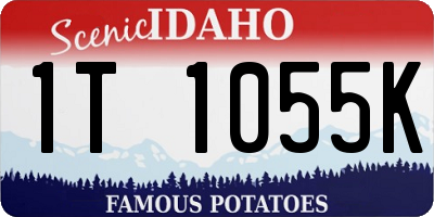 ID license plate 1T1055K