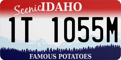 ID license plate 1T1055M