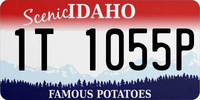 ID license plate 1T1055P