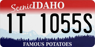 ID license plate 1T1055S