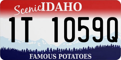 ID license plate 1T1059Q