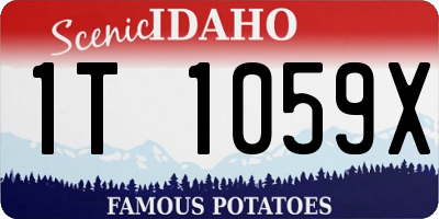 ID license plate 1T1059X
