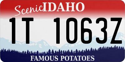 ID license plate 1T1063Z