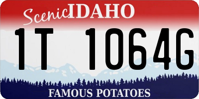 ID license plate 1T1064G