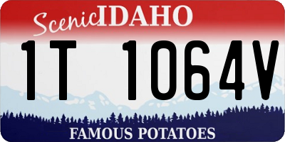 ID license plate 1T1064V