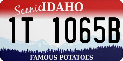 ID license plate 1T1065B