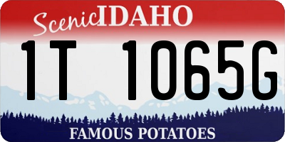 ID license plate 1T1065G