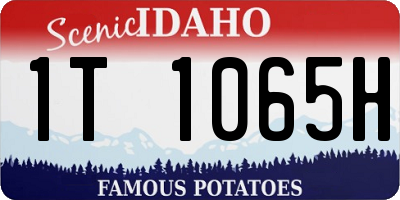 ID license plate 1T1065H