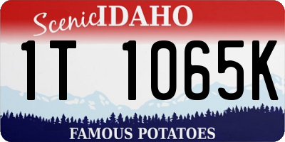 ID license plate 1T1065K