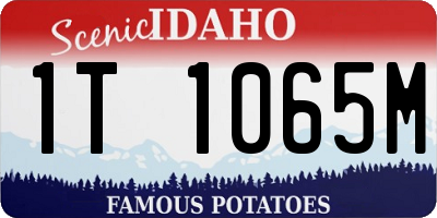 ID license plate 1T1065M