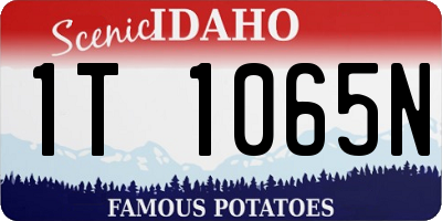 ID license plate 1T1065N