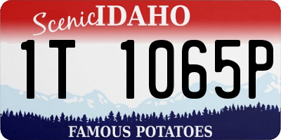 ID license plate 1T1065P
