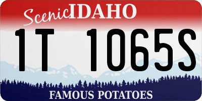 ID license plate 1T1065S