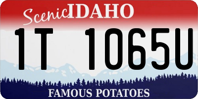 ID license plate 1T1065U
