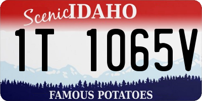 ID license plate 1T1065V