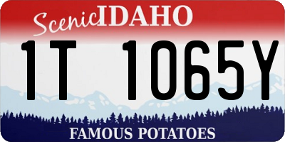 ID license plate 1T1065Y