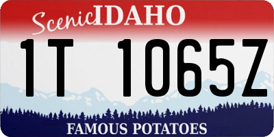 ID license plate 1T1065Z