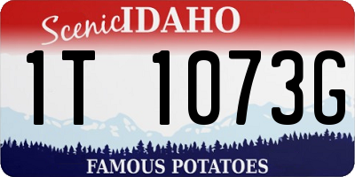 ID license plate 1T1073G