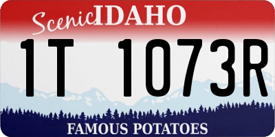 ID license plate 1T1073R