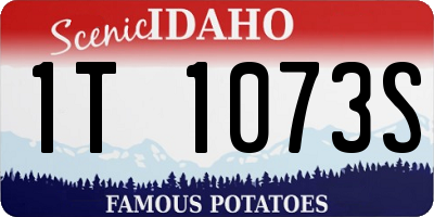 ID license plate 1T1073S
