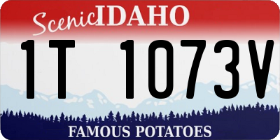 ID license plate 1T1073V