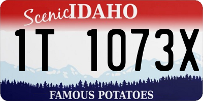 ID license plate 1T1073X