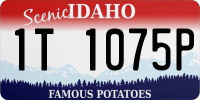 ID license plate 1T1075P